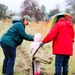 Fort McCoy continues annual tree replenishment efforts; earns 36th Tree City USA award in process