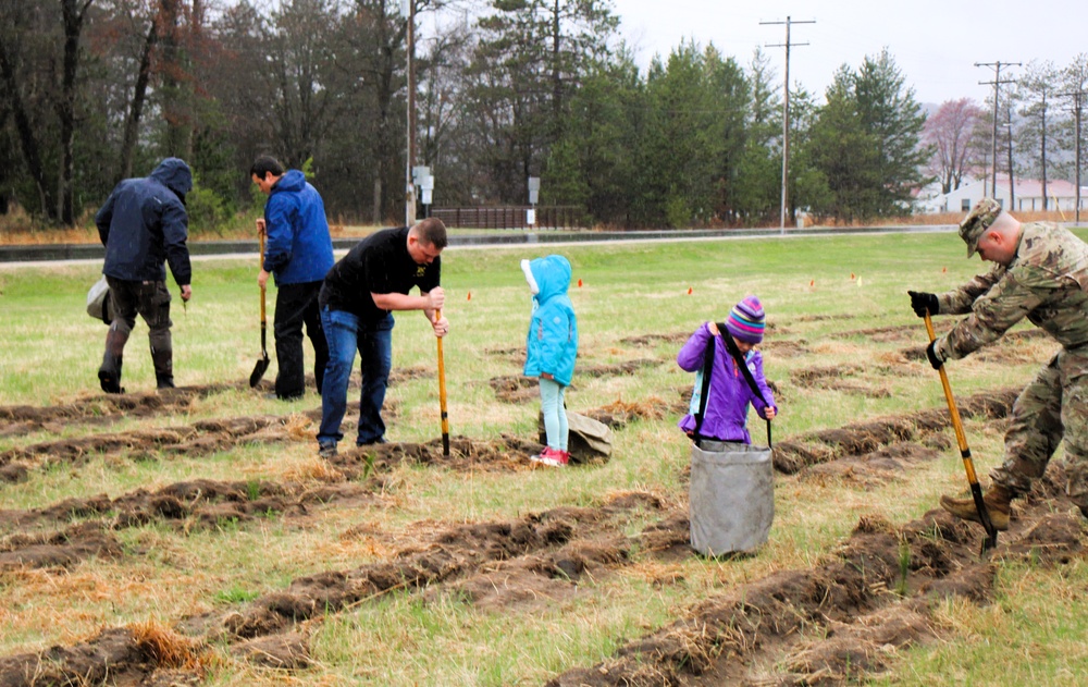 Fort McCoy continues annual tree replenishment efforts; earns 36th Tree City USA award in process