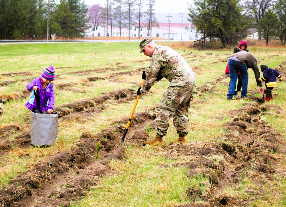 Fort McCoy continues annual tree replenishment efforts; earns 36th Tree City USA award in process