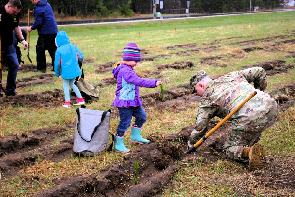 Fort McCoy continues annual tree replenishment efforts; earns 36th Tree City USA award in process