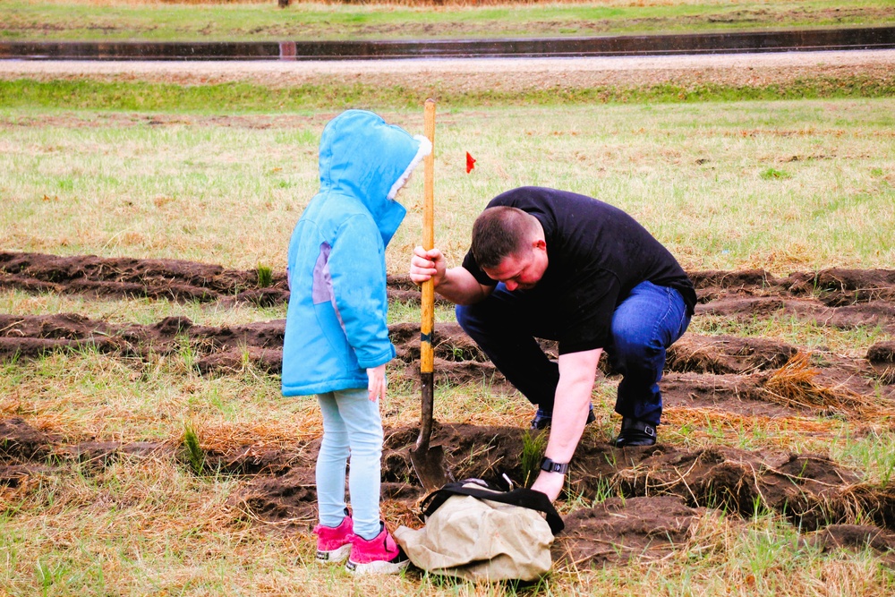 Fort McCoy continues annual tree replenishment efforts; earns 36th Tree City USA award in process