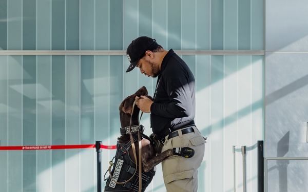 TSA K9 Officer working at a TSA Checkpoint