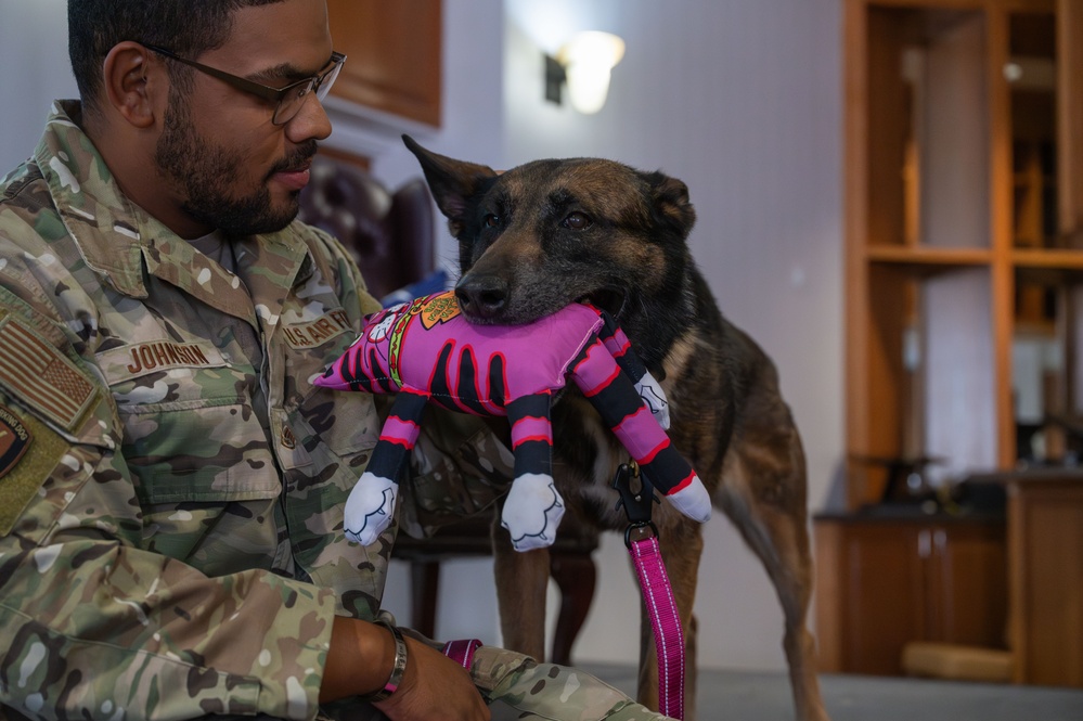 From patrols to playtime: 355th Security Forces Squadron military working dog Layka retires