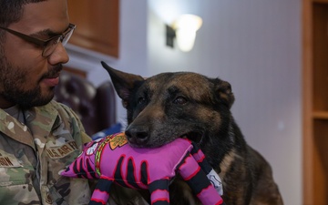 From patrols to playtime: 355th Security Forces Squadron military working dog Layka retires