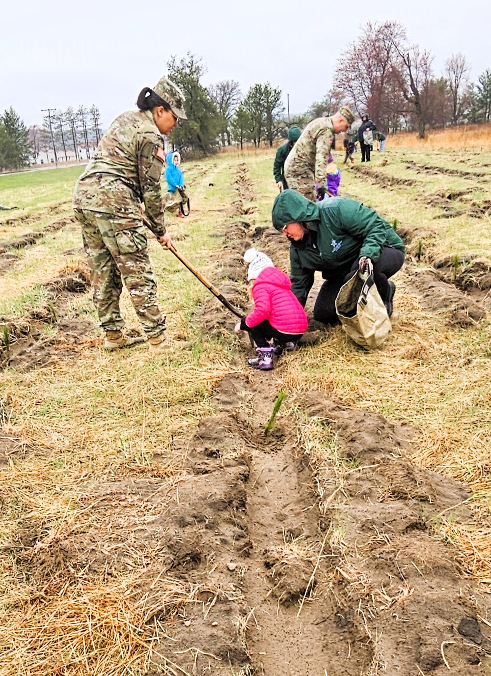 Fort McCoy continues annual tree replenishment efforts; earns 36th Tree City USA award in process