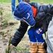 Fort McCoy continues annual tree replenishment efforts; earns 36th Tree City USA award in process