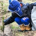Fort McCoy continues annual tree replenishment efforts; earns 36th Tree City USA award in process