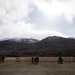 The AKARNG's 207th Multi-Functional Training Regiment conducts Infantry Advanced Leader Course