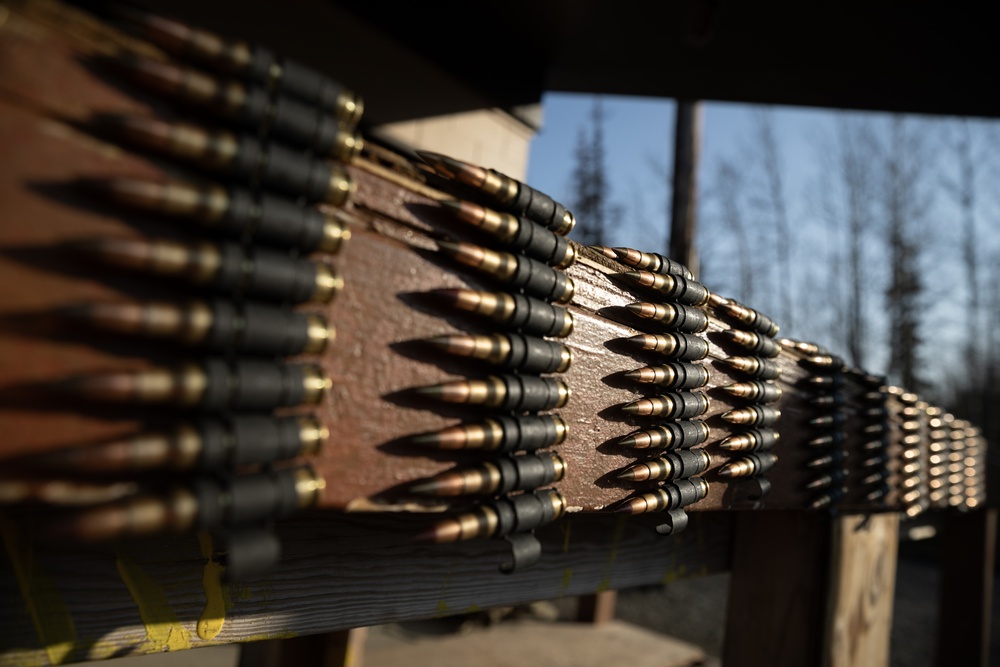 The AKARNG's 207th Multi-Functional Training Regiment conducts Infantry Advanced Leader Course