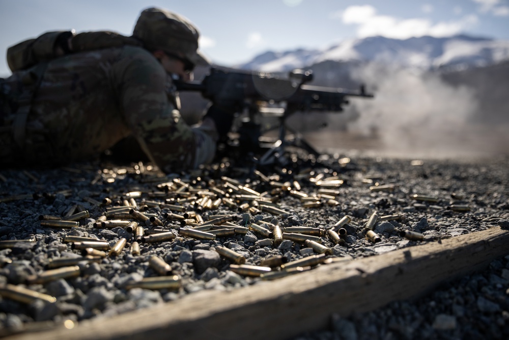 The AKARNG's 207th Multi-Functional Training Regiment conducts Infantry Advanced Leader Course