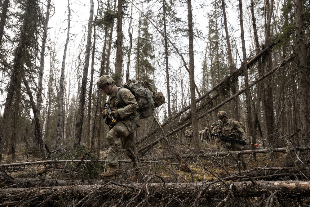 The AKARNG's 207th Multi-Functional Training Regiment conducts Infantry Advanced Leader Course