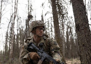The AKARNG's 207th Multi-Functional Training Regiment conducts Infantry Advanced Leader Course