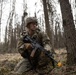 The AKARNG's 207th Multi-Functional Training Regiment conducts Infantry Advanced Leader Course