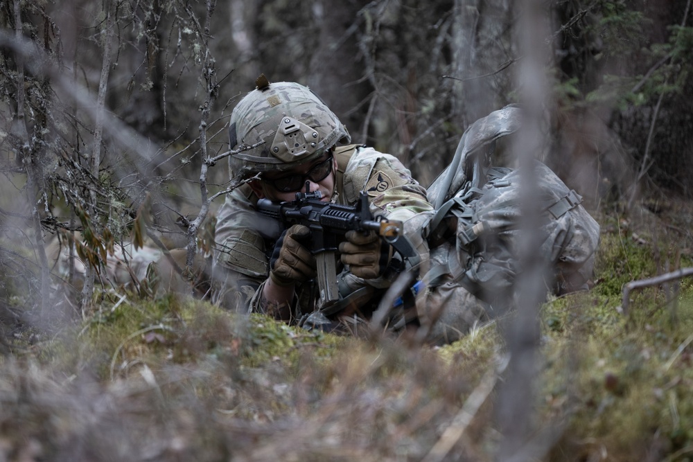 The AKARNG's 207th Multi-Functional Training Regiment conducts Infantry Advanced Leader Course