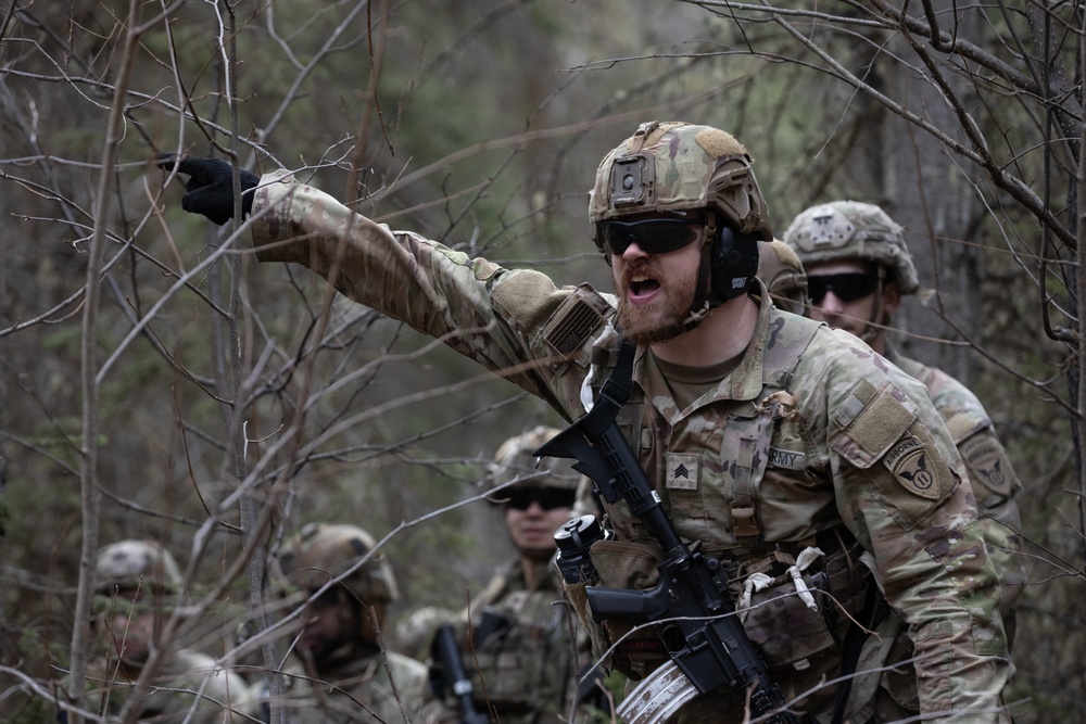 The AKARNG's 207th Multi-Functional Training Regiment conducts Infantry Advanced Leader Course