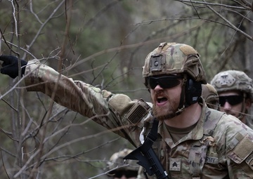 The AKARNG's 207th Multi-Functional Training Regiment conducts Infantry Advanced Leader Course