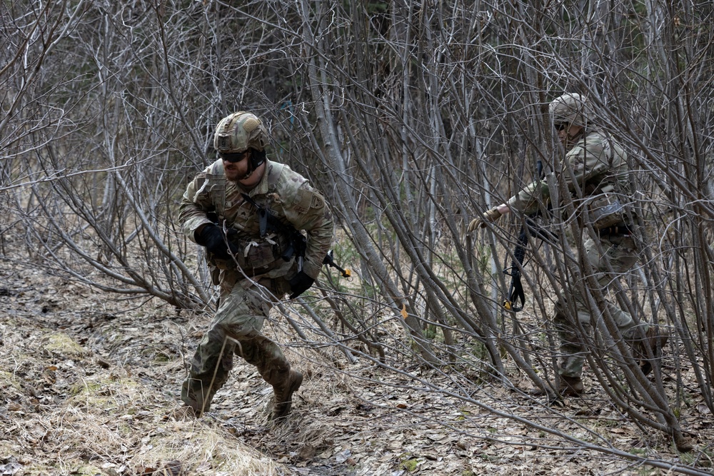 The AKARNG's 207th Multi-Functional Training Regiment conducts Infantry Advanced Leader Course