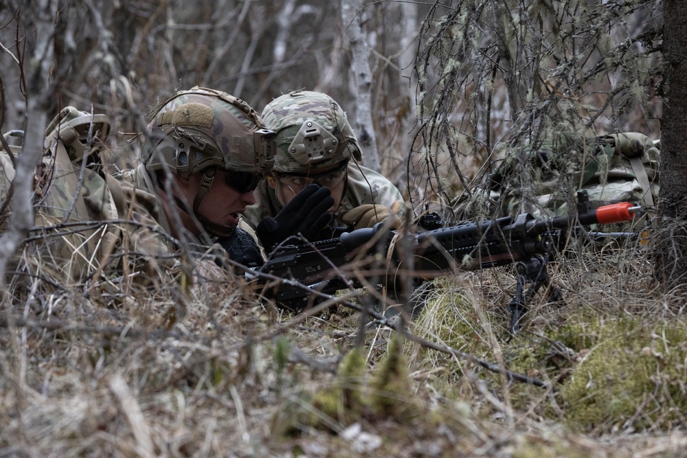 The AKARNG's 207th Multi-Functional Training Regiment conducts Infantry Advanced Leader Course
