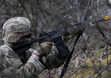 The AKARNG's 207th Multi-Functional Training Regiment conducts Infantry Advanced Leader Course