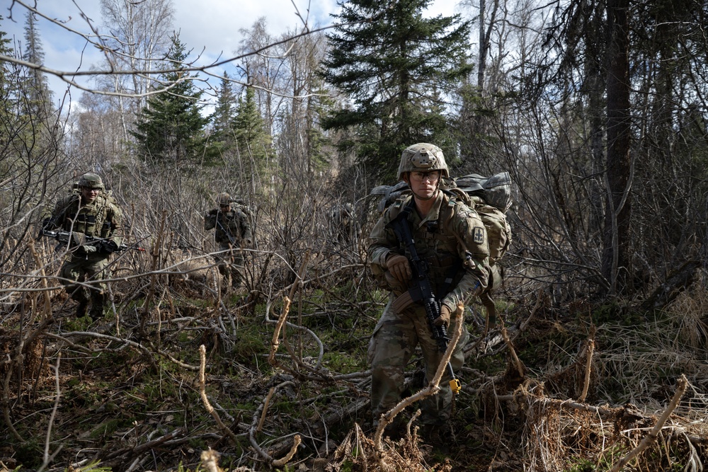 The AKARNG's 207th Multi-Functional Training Regiment conducts Infantry Advanced Leader Course