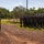 MRF-D 25.3: Marine promotes meritoriously while forward deployed