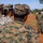 MRF-D 25.3: Marine promotes meritoriously while forward deployed
