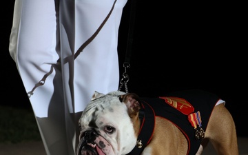 MBW Vice President, Commandant, Friday Evening Parade