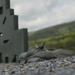 262nd CICO weapon qualification