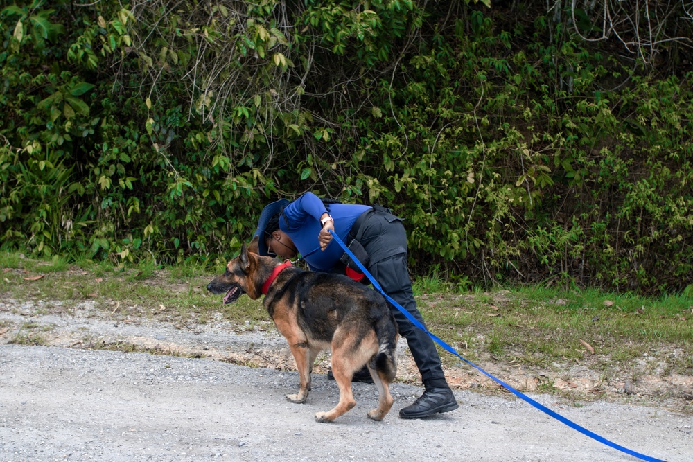 Combined canine training at TRADEWINDS 25 bolsters security in the Caribbean