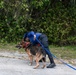 Combined canine training at TRADEWINDS 25 bolsters security in the Caribbean
