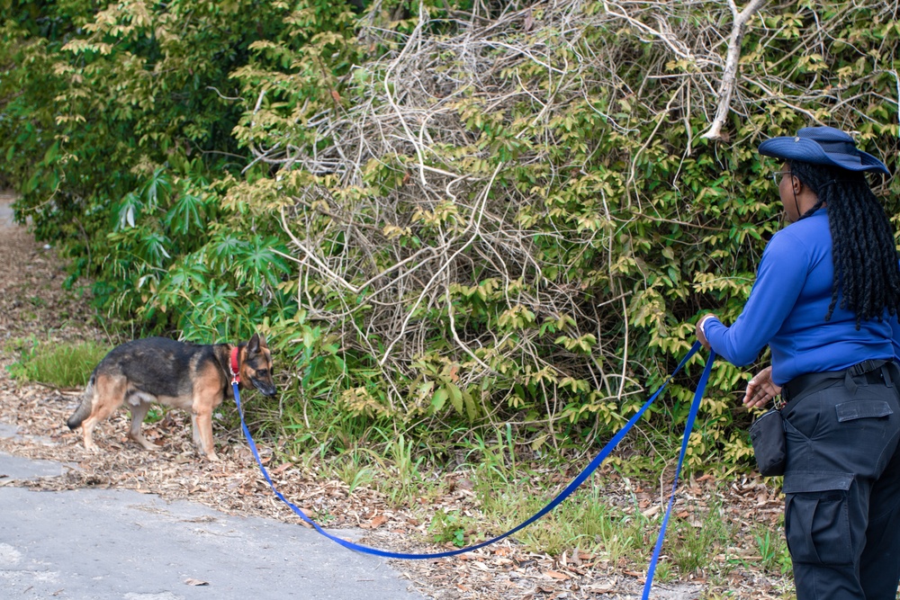 Combined canine training at TRADEWINDS 25 bolsters security in the Caribbean