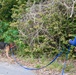 Combined canine training at TRADEWINDS 25 bolsters security in the Caribbean