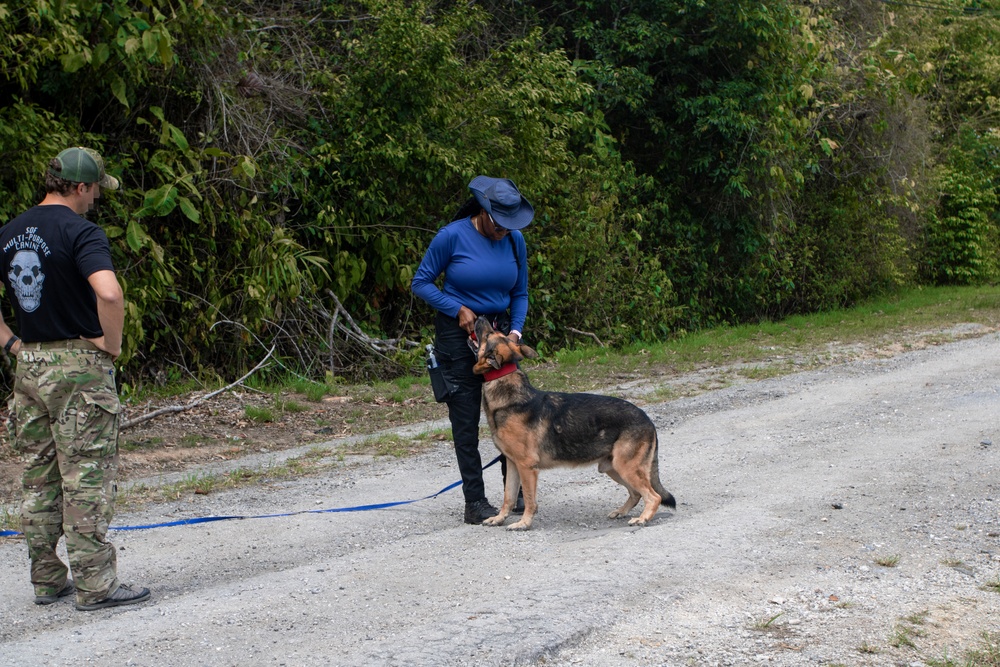Combined canine training at TRADEWINDS 25 bolsters security in the Caribbean