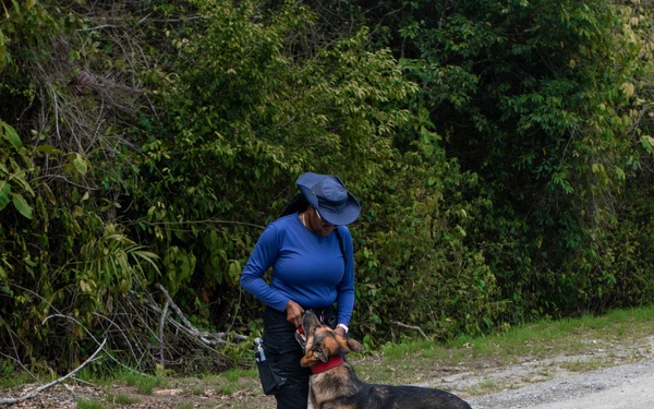 Combined canine training at TRADEWINDS 25 bolsters security in the Caribbean