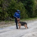 Combined canine training at TRADEWINDS 25 bolsters security in the Caribbean
