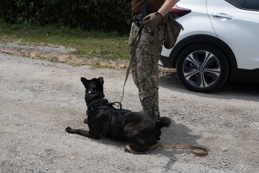 Combined canine training at TRADEWINDS 25 bolsters security in the Caribbean