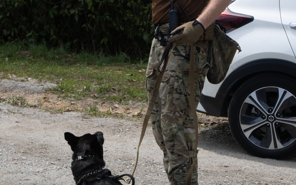 Combined canine training at TRADEWINDS 25 bolsters security in the Caribbean