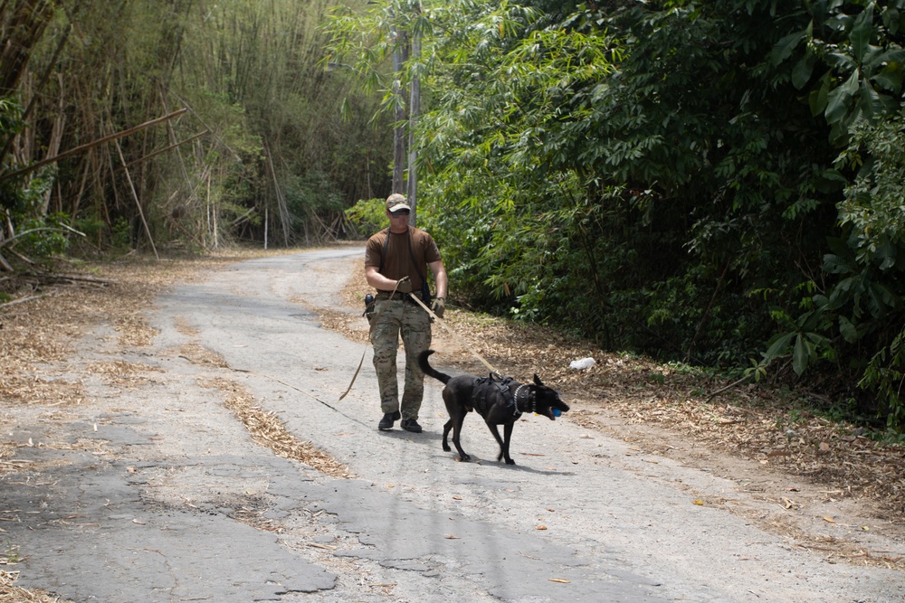 Combined canine training at TRADEWINDS 25 bolsters security in the Caribbean