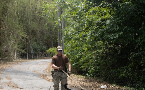 Combined canine training at TRADEWINDS 25 bolsters security in the Caribbean
