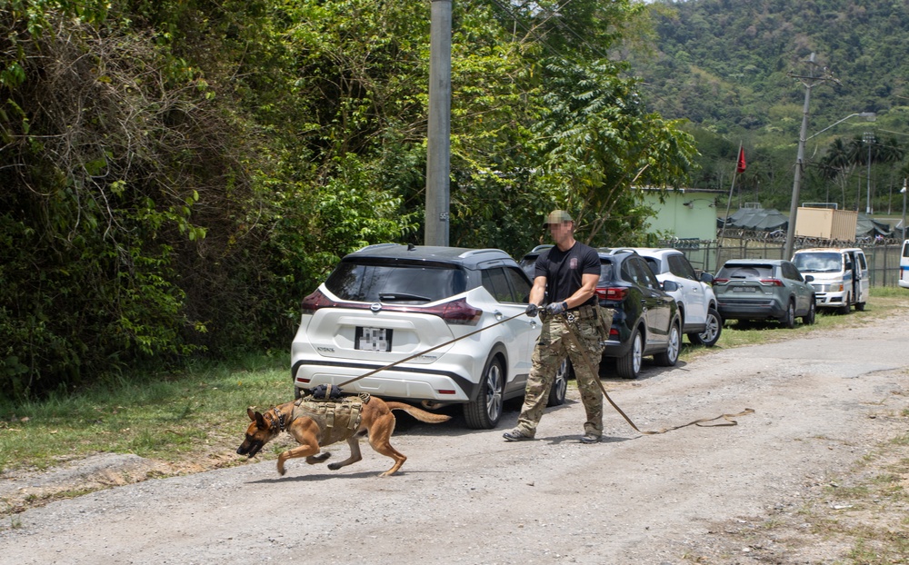 Combined canine training at TRADEWINDS 25 bolsters security in the Caribbean