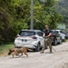 Combined canine training at TRADEWINDS 25 bolsters security in the Caribbean