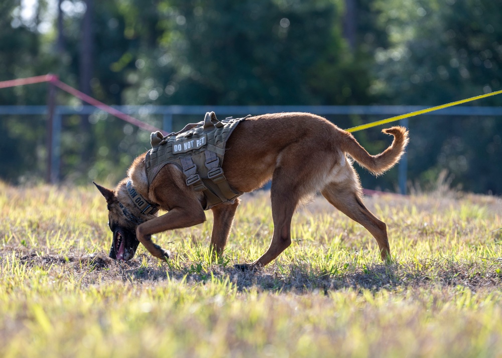 MacDill Defenders conduct security sweep during NORI