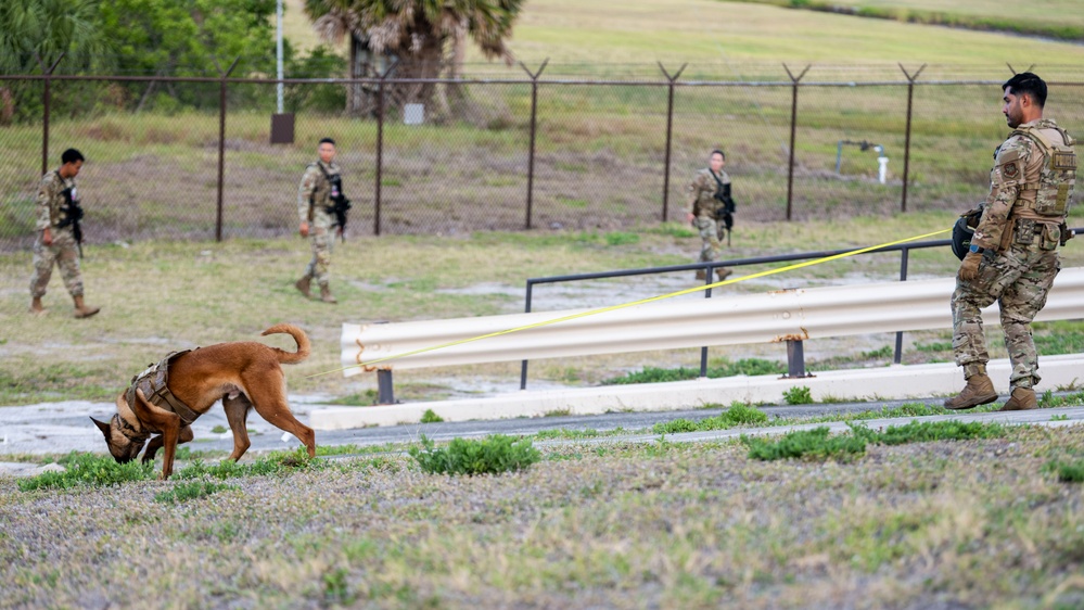 MacDill Defenders conduct security sweep during NORI