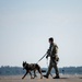 MacDill Defenders conduct security sweep during NORI