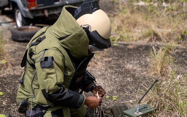 Combined forces conduct Improvised Explosive Device Disposal Training during TRADEWINDS 25