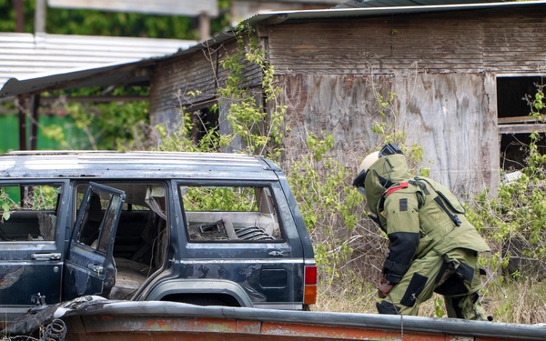 Combined forces conduct Improvised Explosive Device Disposal Training during TRADEWINDS 25