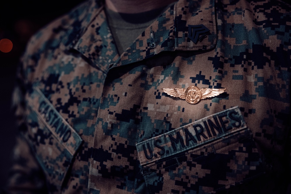MRF-D 25.3: Wing pinning ceremony