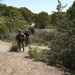 New Jersey, New York OCS Candidates Train with Albanian, Kosovar Cadets in Fifth Annual Field Exercise