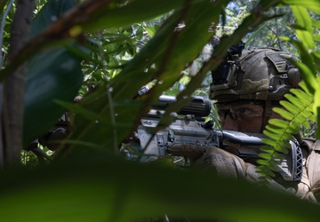 31st MEU conducts TRAP during MEUEX