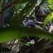 31st MEU conducts TRAP during MEUEX